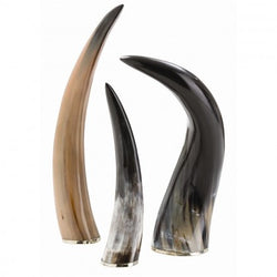 Bernard Horns, Set of 3
