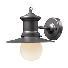 Vuelta 1-Light Outdoor Barn Light